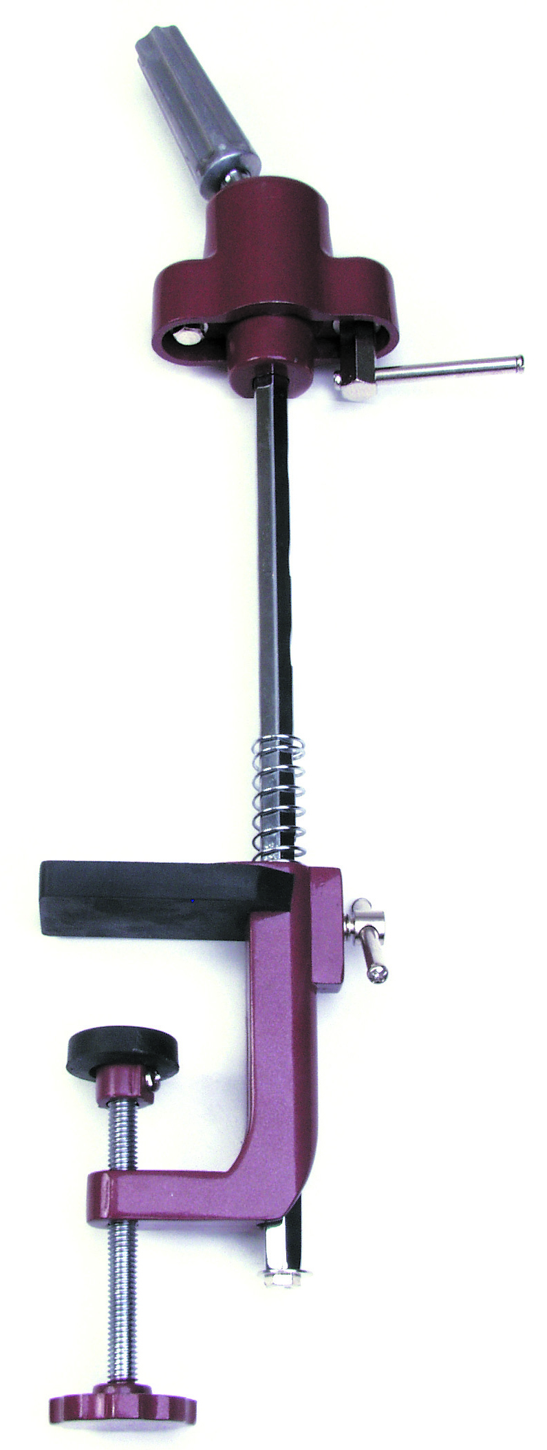 MORSETTO ALTO x TESTINA SCUOLA EF