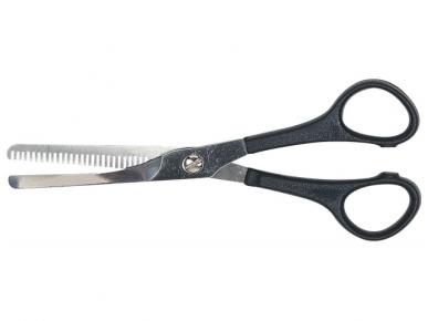 FORBICI PIUMA 6 1L SFOLTIRE