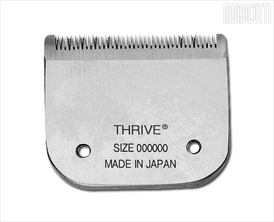 TESTINA X 808 N. 000000