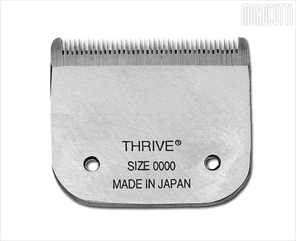 TESTINA X 808 N. 0000