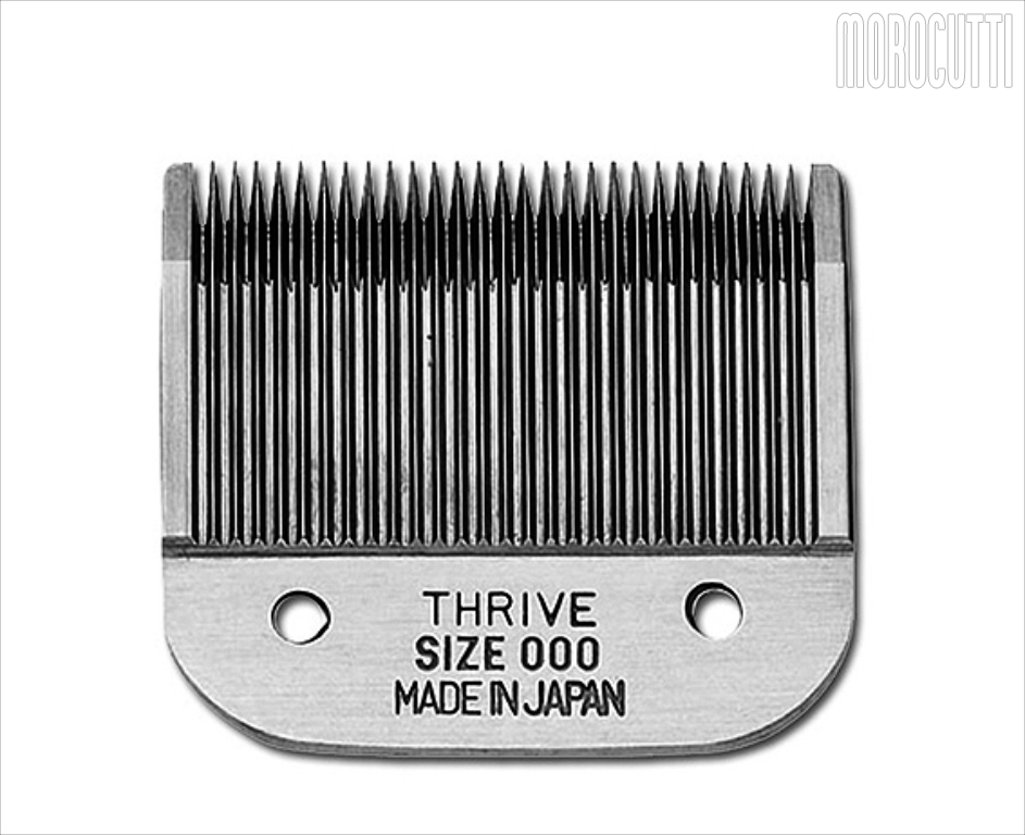 TESTINA X 808 N. 000