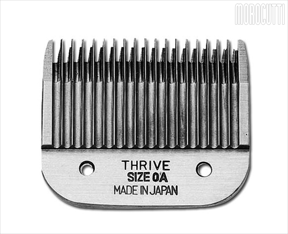 TESTINA X 808 N.  0A