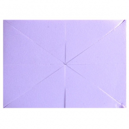 SPUGNETTA TRUCCO  8 SPICCHI RETT.