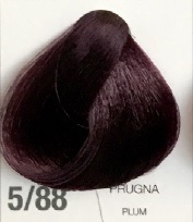 ONOFF H.C 5/88 PRUGNA