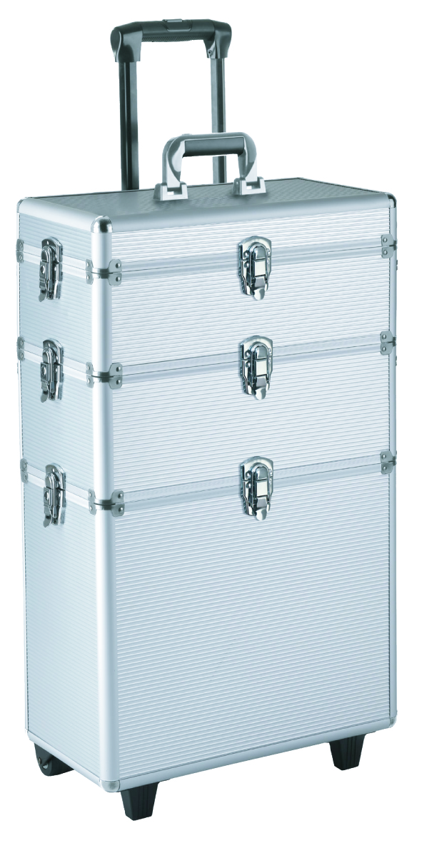 BEAUTY SILVER ASSIST TROL. 3pz EFA