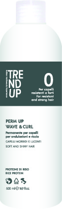 UP PERMANENTE T-UP 0 500 ML