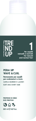 UP PERMANENTE T-UP 1 500 ML