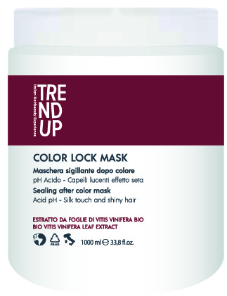 UP COLOR LOCK MASK T-UP1000 ml