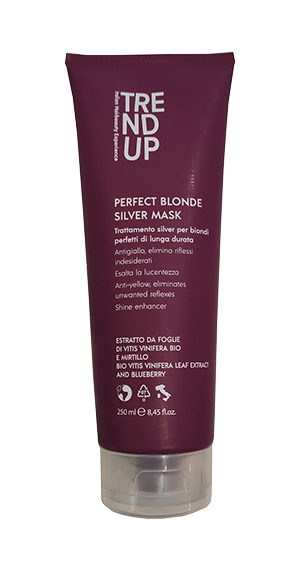 UP PERFECT BLONDE SILVER MASK 300 ML